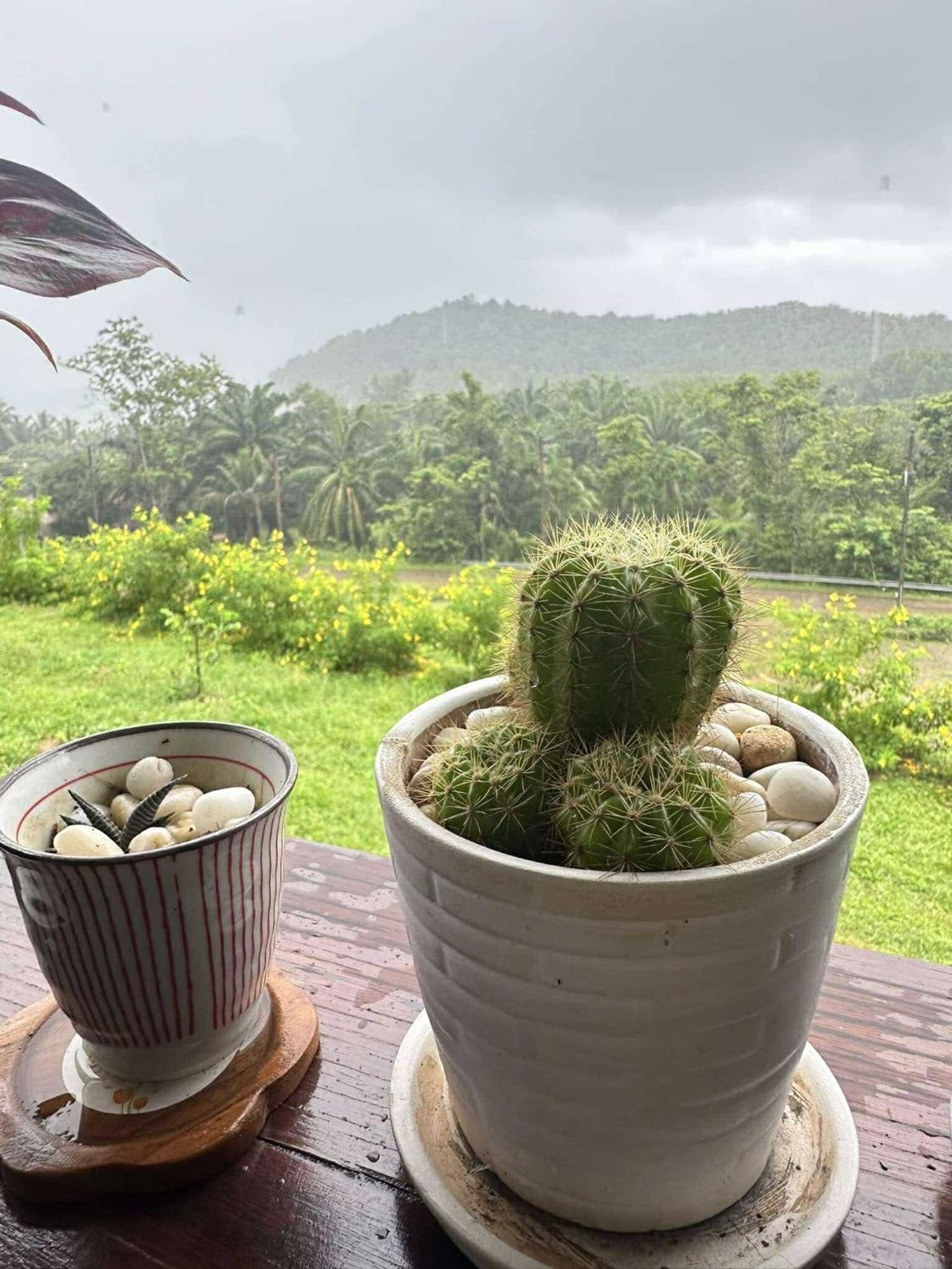 บ้านสวนปิยนันท์ Ko Yao Noi Exterior photo